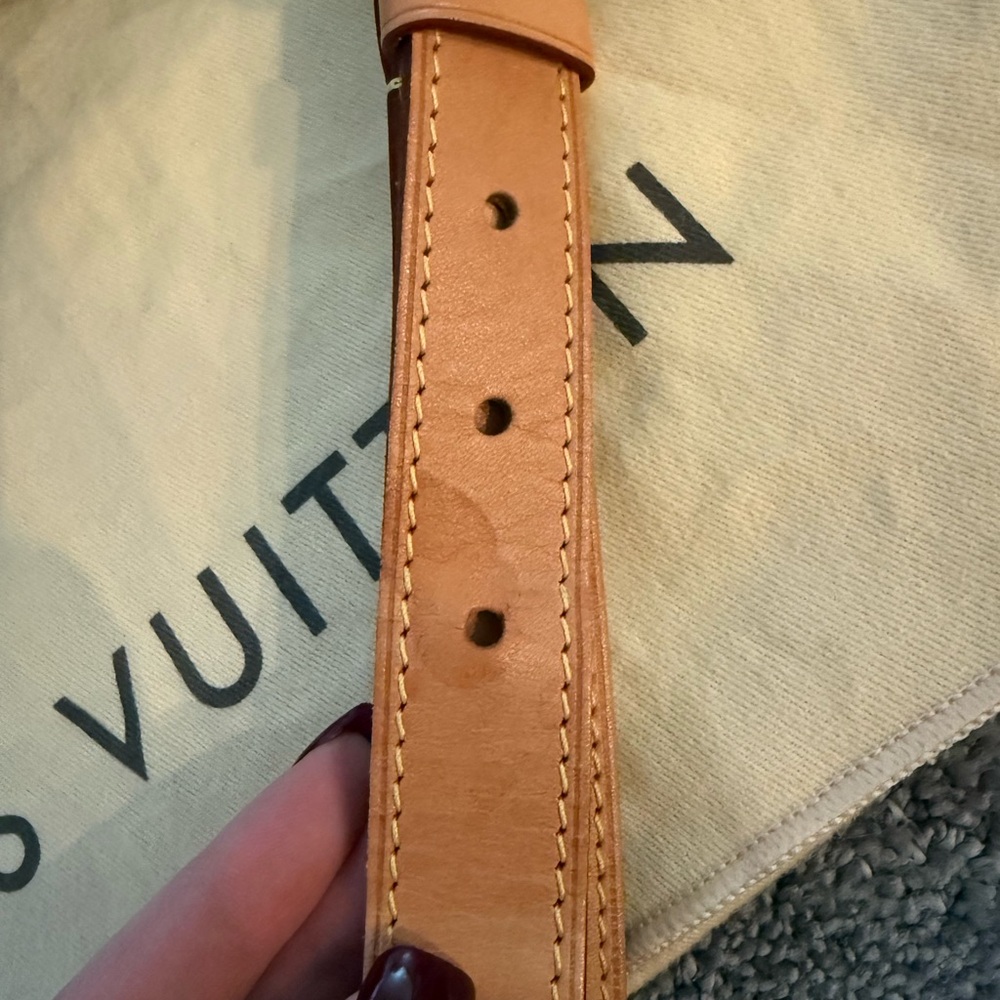 Louis Vuitton BumBag - Picture 5 of 10